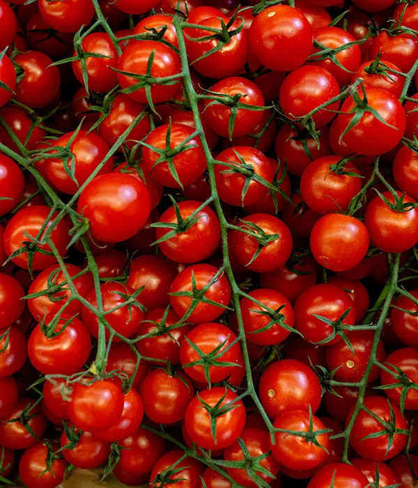 Photo de tomates cerises