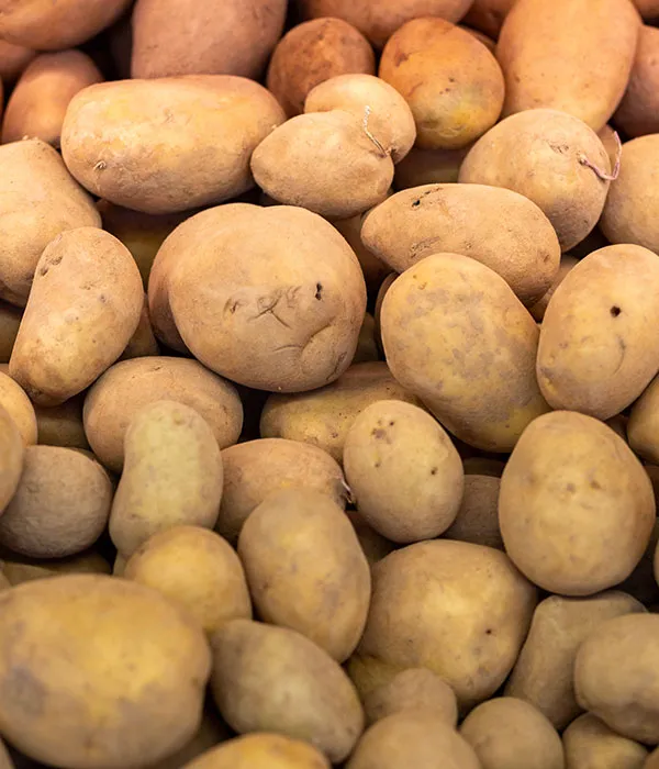 Photo de pommes de terre